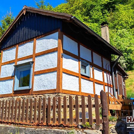 Arode Huette Harzilein - Romantic Tiny House On The Edge Of The Forest Zorge Εξωτερικό φωτογραφία