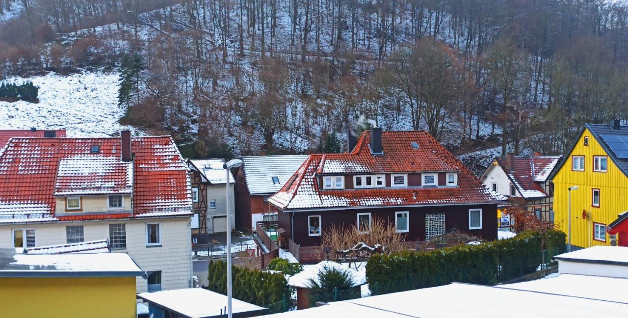 Arode Huette Harzilein - Romantic Tiny House On The Edge Of The Forest Zorge Εξωτερικό φωτογραφία