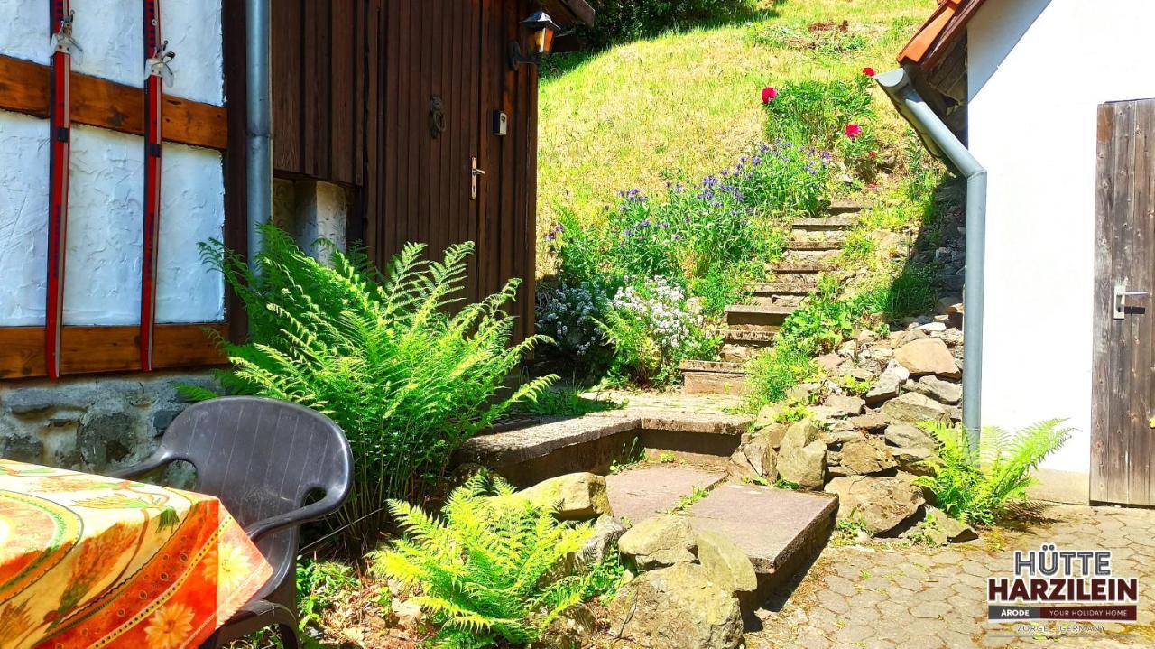 Arode Huette Harzilein - Romantic Tiny House On The Edge Of The Forest Zorge Εξωτερικό φωτογραφία