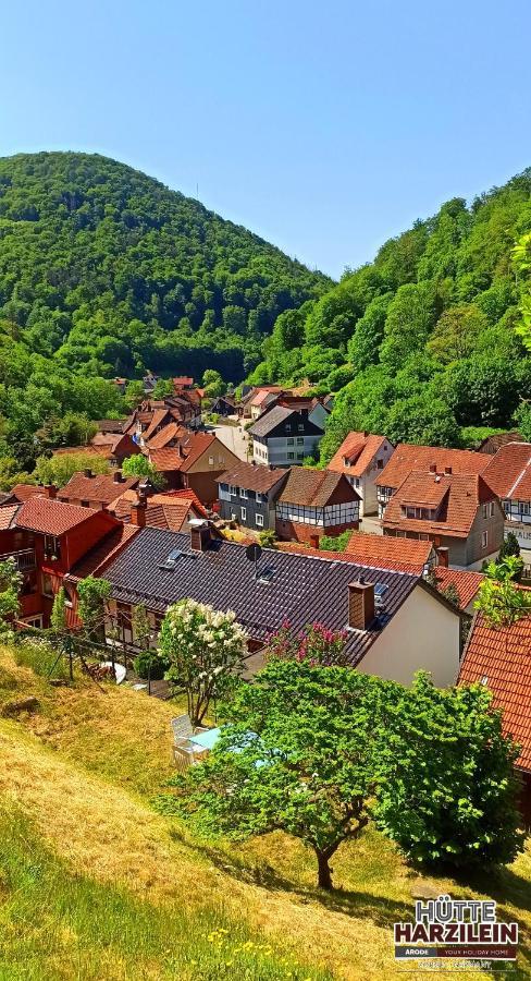 Arode Huette Harzilein - Romantic Tiny House On The Edge Of The Forest Zorge Εξωτερικό φωτογραφία